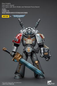 Grey Knights Interceptor Squad Interceptor with Storm Bolter and Nemesis Force Sword 1