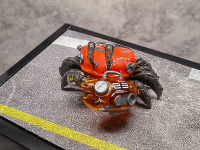 AQUACULTURE TANK 008: Fiddler Crab (Silver Red) 6