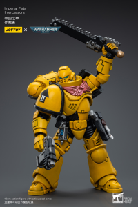 Imperial Fists Intercessors 6
