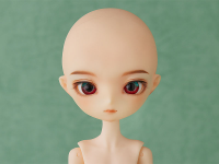 Harmonia bloom Volker Honest hunter 7