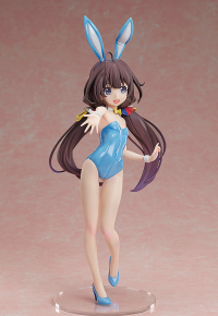 Ai Hinatsuru: Bare Leg Bunny Ver. 4