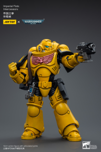 Imperial Fists Intercessors 7