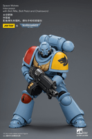 Space Wolves Intercessor with Bolt Rifle, Bolt Pistol and Chainsword 21