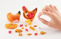 MegaHouse Chicken Puzzle , Megahouse Kaitai Puzzle - Kaitai Puzzle - photo 1