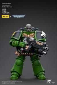 Salamanders Intercessors Brother Tol'vak 2