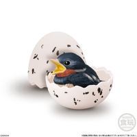Tenori Baby Friends - Birds  (Box/12) 3