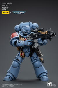 Space Wolves Intercessors 2
