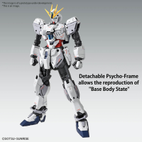 MG 1/100 NARRATIVE GUNDAM C-PACKS Ver.Ka 2
