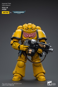 Imperial Fists Intercessors 10