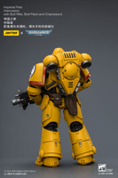 Imperial Fists Intercessor with Bolt Rifle, Bolt Pistol and Chainsword 19