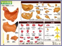 MegaHouse Chicken Puzzle , Megahouse Kaitai Puzzle - Kaitai Puzzle - photo 5