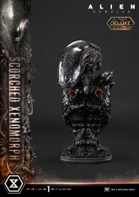 Prime 1 Studio Museum Masterline XL Alien: Romulus Scorched Xenomorph Deluxe Bonus Version - Alien (Movie Franchise) - photo 9