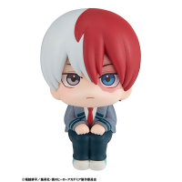 Lookup My Hero Academia Shoto Todoroki 5