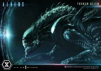 Prime 1 Studio Premium Masterline Aliens (Comics) Tusked Alien Bonus Version - Alien (Movie Franchise) - photo 61