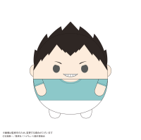 Haikyu!! FUWA KORORIN Msize 9  (ITEM C) 1