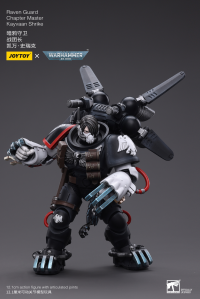 Raven Guard Chapter Master Kayvaan Shrike 6