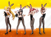 Ruiko Saten: Bunny Ver. 11