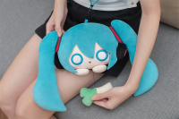 Character Vocal Series 01: Hatsune Miku Fluffy Series - Plushie Pouch 9