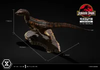 Prime 1 Studio Prime Collectible Figures  Jurassic Park (Film)  Velociraptor  Closed Mouth - Jurassic Park - photo 20