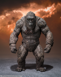 S.H. Monsterarts Kong (Godzilla vs Kong 2021) -Event Exclusive Color Edition- 2
