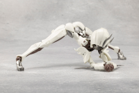 SEEKER 21