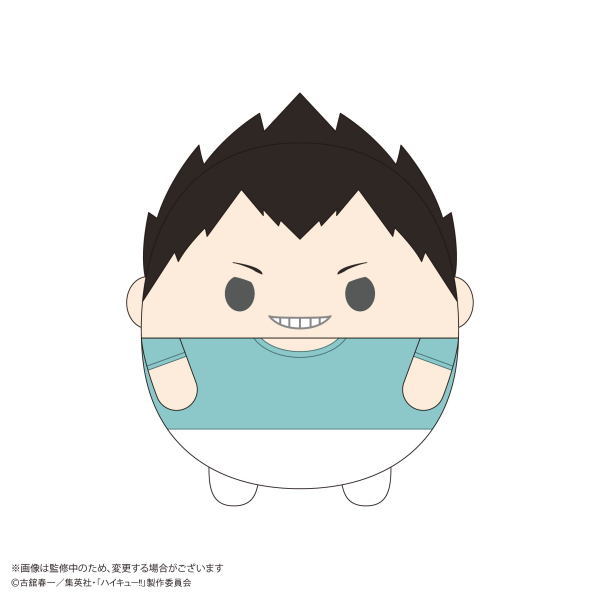 Haikyu!! FUWA KORORIN BIG 9 (ITEM C)