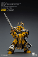 Imperial Fists Legion Praetor in Tartaros Terminator Armour with Power Sword and Vigil Storm Shield 7