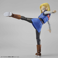 Figure-rise Standard ANDROID No. 18 (Renewal Version) 10