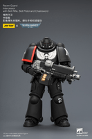 Raven Guard Intercessor with Bolt Rifle, Bolt Pistol and Chainsword 17