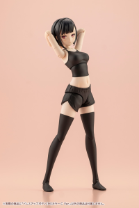 DRESS UP BODY[M] COLOR C Ver. 20