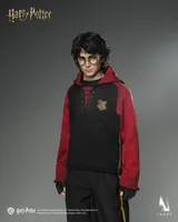 Queen Studios INART - Harry Potter and the Goblet of Fire - Harry Potter 1/6 Collectible Figure - Harry Potter - photo 15