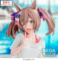 SEGA Yumemirize Umamusume: Pretty Derby Smart Falcon -Gaze on Me!- - Umamusume: Pretty Derby - photo 7