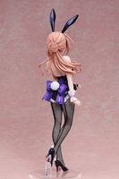 Rinami Himesaki: Bunny Ver. 4