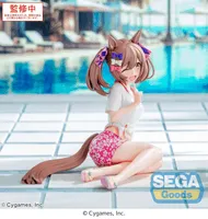 SEGA Yumemirize Umamusume: Pretty Derby Smart Falcon -Gaze on Me!- - Umamusume: Pretty Derby - photo 2