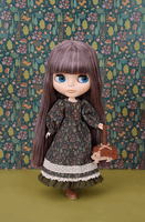 Blythe Hazel the Hedgehog 7