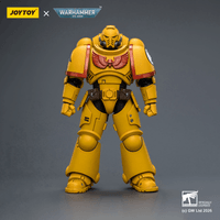 Imperial Fists Intercessor with Bolt Rifle, Bolt Pistol and Chainsword 1
