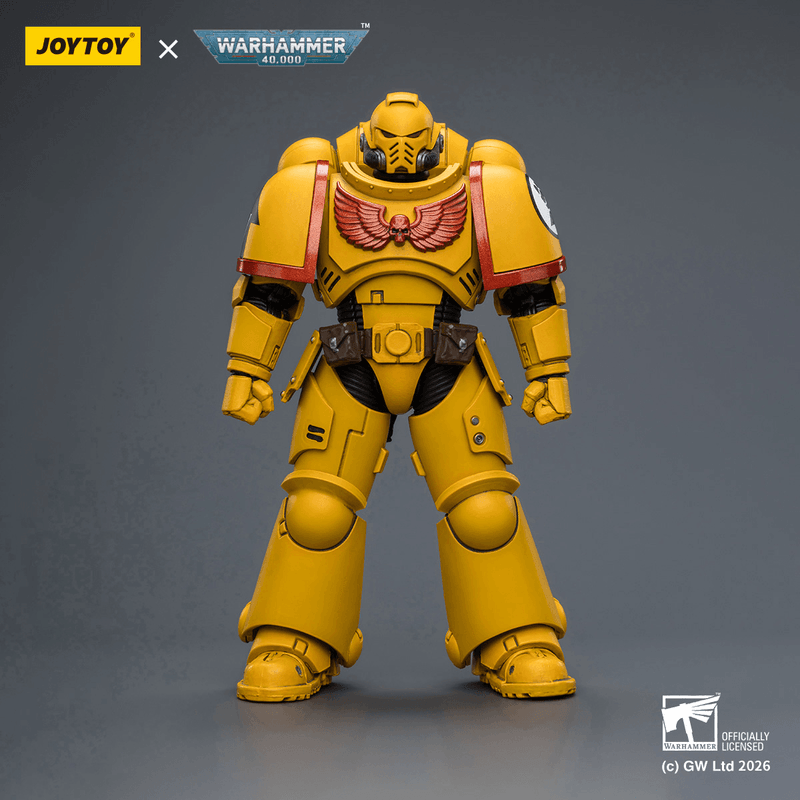 Imperial Fists Intercessor with Bolt Rifle, Bolt Pistol and Chainsword
