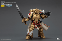 Blood Angels Captain with Heavy Bolt Pistol & Power Sword 24