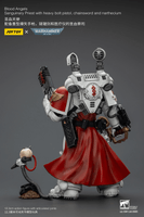 Blood Angels Sanguinary Priest with Heavy bolt pistol, chainsword and narthecium 8