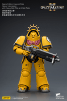 Game Edition Imperial Fists Heavy Intercessor with Heavy Bolt Rifle and Bolt Pistol 13