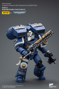 Ultramarines Vanguard Veteran with Chainsword and Bolt Pistol 8