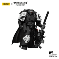 Raven Guard Mor Deythan with Nemesis bolt rifle 11