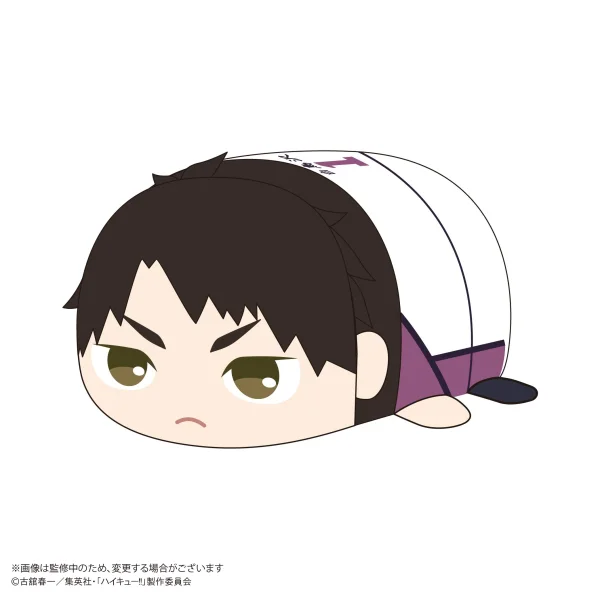 MAX LIMITED Haikyu!! POTE KORO MASCOT BIG 2 (Item C) - Haikyu!!