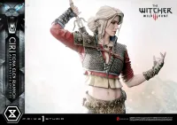 Prime 1 Studio Premium Masterline The Witcher 3: Wild Hunt Ciri Fiona Elen Riannon Alternative Outfit - Video Games - photo 39