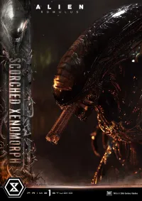 Prime 1 Studio Museum Masterline XL Alien: Romulus Scorched Xenomorph Deluxe Bonus Version - Alien (Movie Franchise) - photo 49