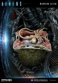 Prime 1 Studio Premium Masterline Aliens (Comics) Warrior Alien DX Bonus Version - Alien (Movie Franchise) - photo 4