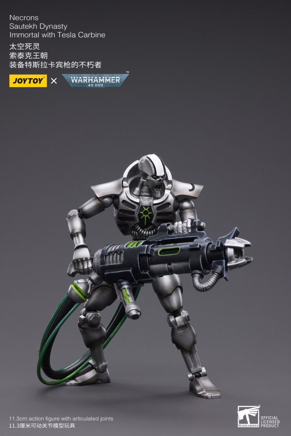 WH40K-Necrons Sautekh Dynasty Immortal with Tesla Carbine