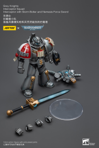 Grey Knights Interceptor Squad Interceptor with Storm Bolter and Nemesis Force Sword 2
