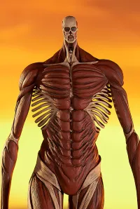 GOOD SMILE COMPANY POP UP PARADE Armin Arlert: Colossus Titan Ver. L Size - Attack on Titan - photo 5