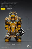 Imperial Fists Legion Praetor in Tartaros Terminator Armour with Power Sword and Vigil Storm Shield 9